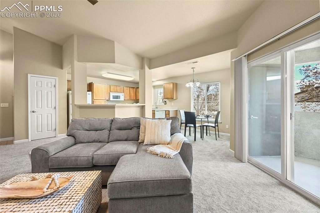 7045 Ash Creek Heights Colorado Springs CO 80922