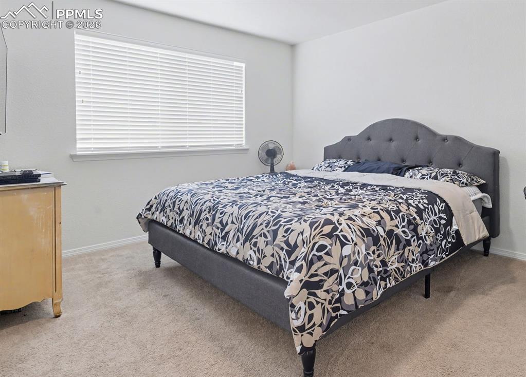 2579 Malpaso Point Colorado Springs CO 80922