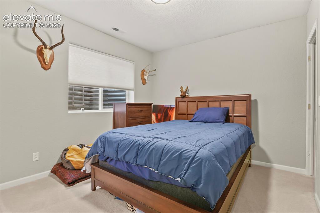 1346 Mirrillion Heights Colorado Springs CO 80904