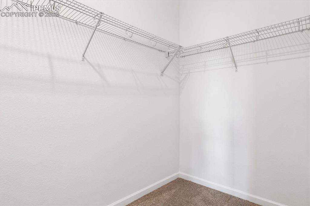 2462 Serviceberry Grove Colorado Springs CO 80915