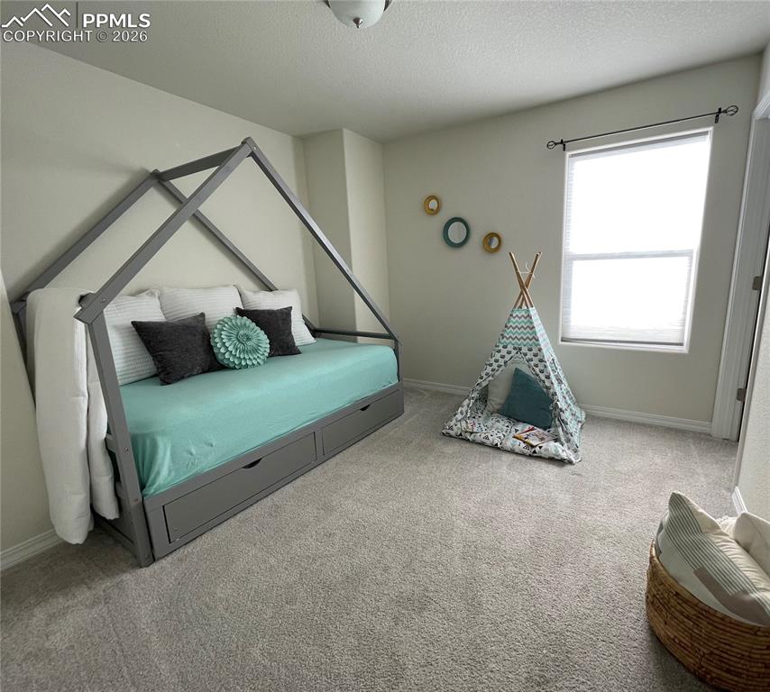 7911 Shiloh Mesa Drive Colorado Springs CO 80908