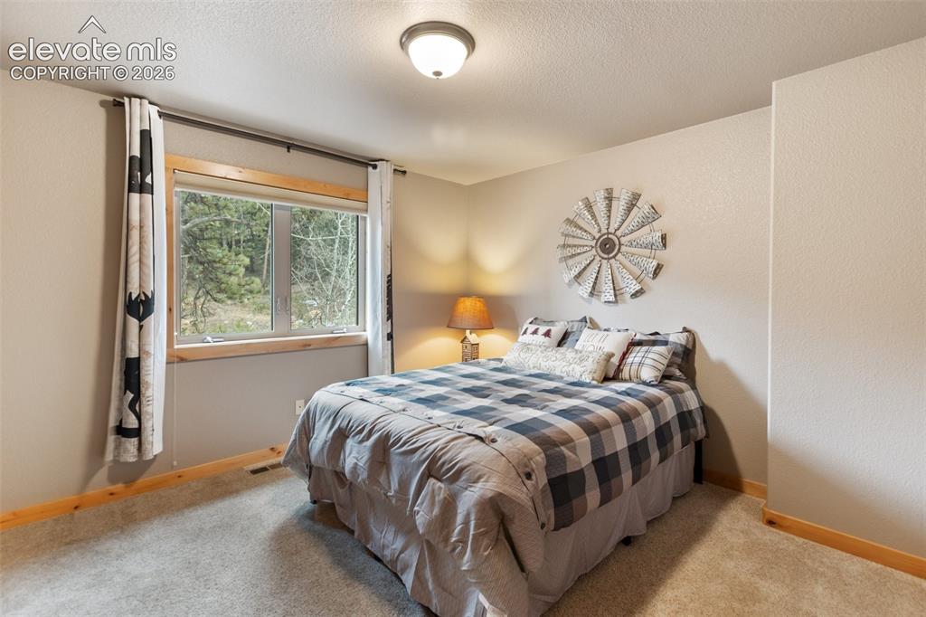 133 Elk Grove Lane Woodland Park CO 80863