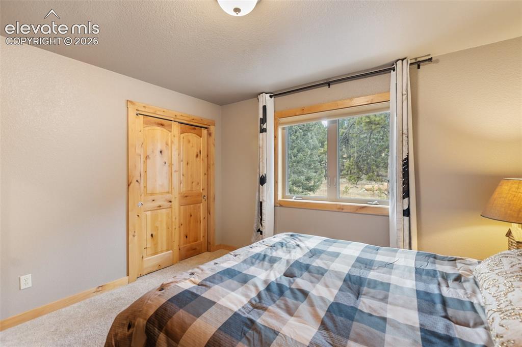 133 Elk Grove Lane Woodland Park CO 80863