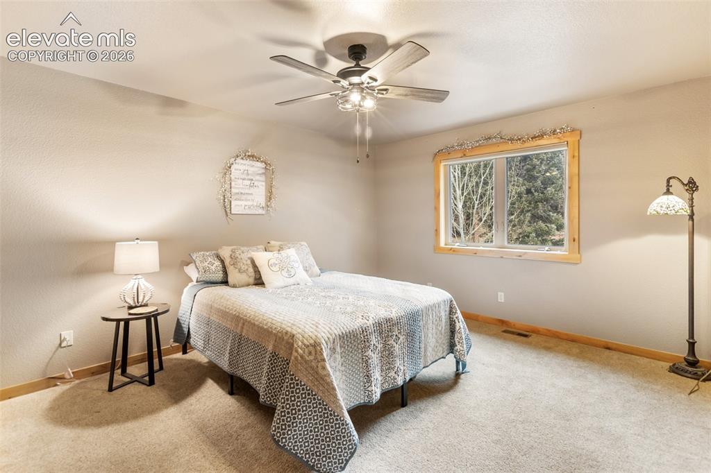 133 Elk Grove Lane Woodland Park CO 80863