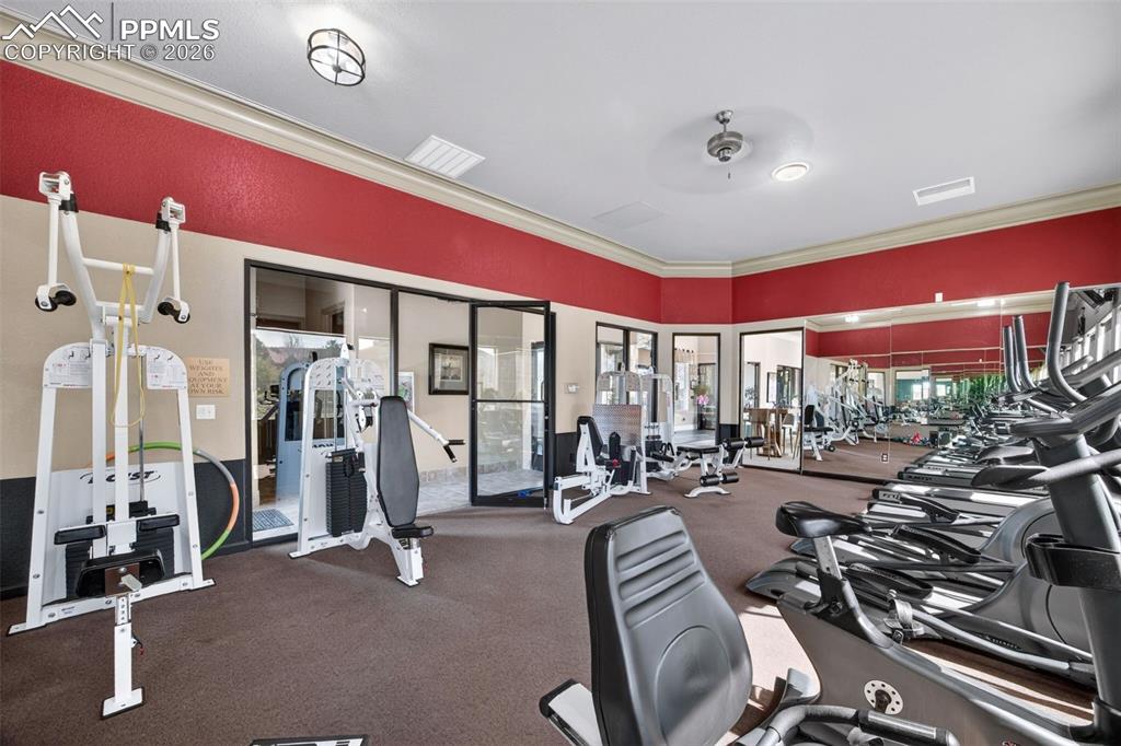 4658 Copeland Circle Highlands Ranch CO 80126