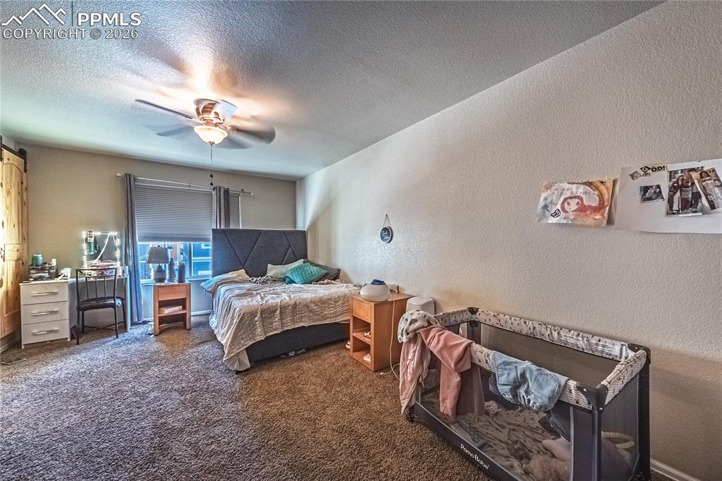 3054 Harpy Grove Colorado Springs CO 80916