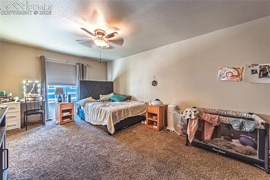 3054 Harpy Grove Colorado Springs CO 80916