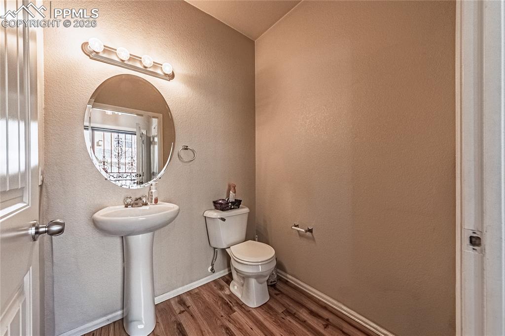 3054 Harpy Grove Colorado Springs CO 80916