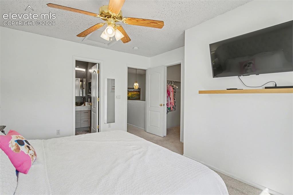 748 Caribbean Point Colorado Springs CO 80910