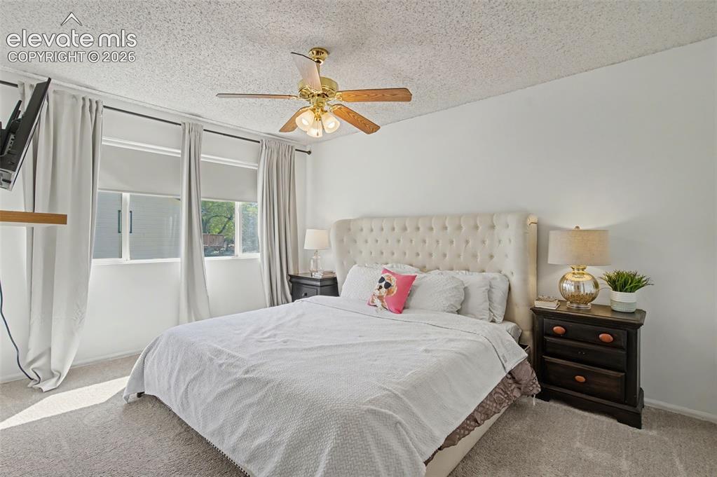 748 Caribbean Point Colorado Springs CO 80910