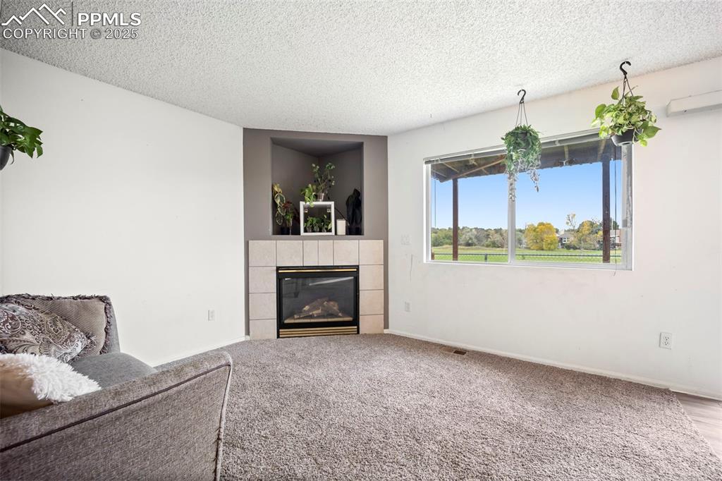 3652 Pacific Drive Colorado Springs CO 80910