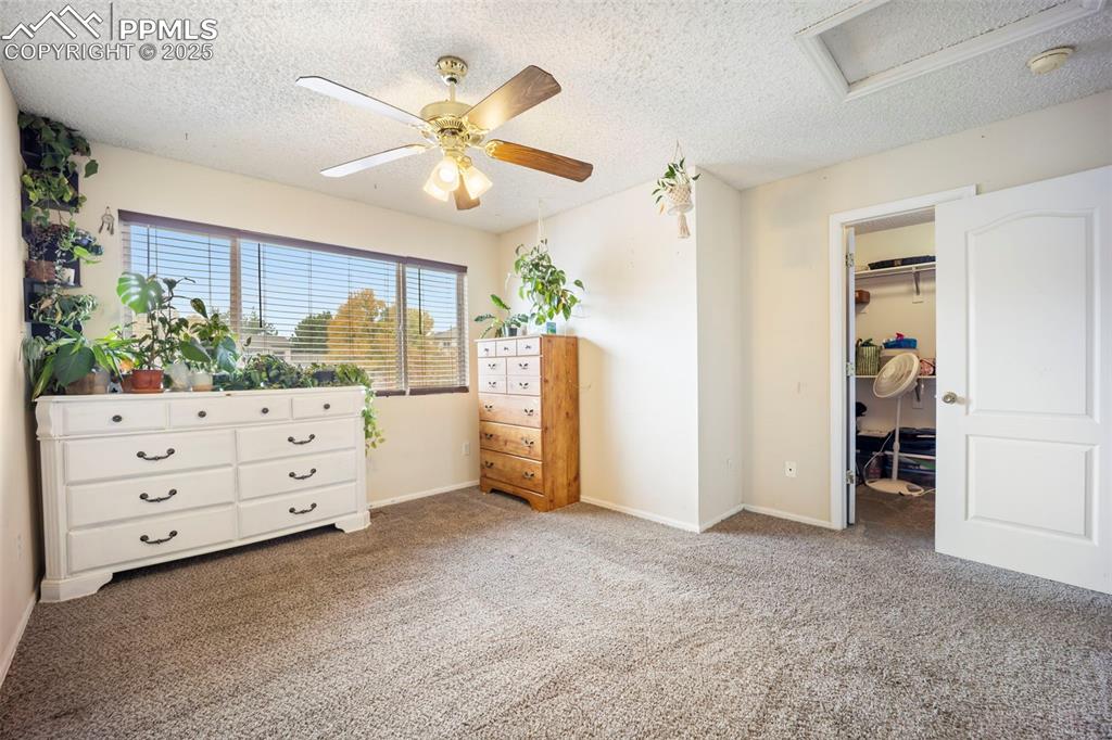 3652 Pacific Drive Colorado Springs CO 80910