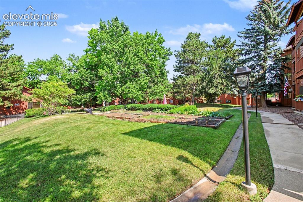 2450 Palmer Park Boulevard Colorado Springs CO 80909