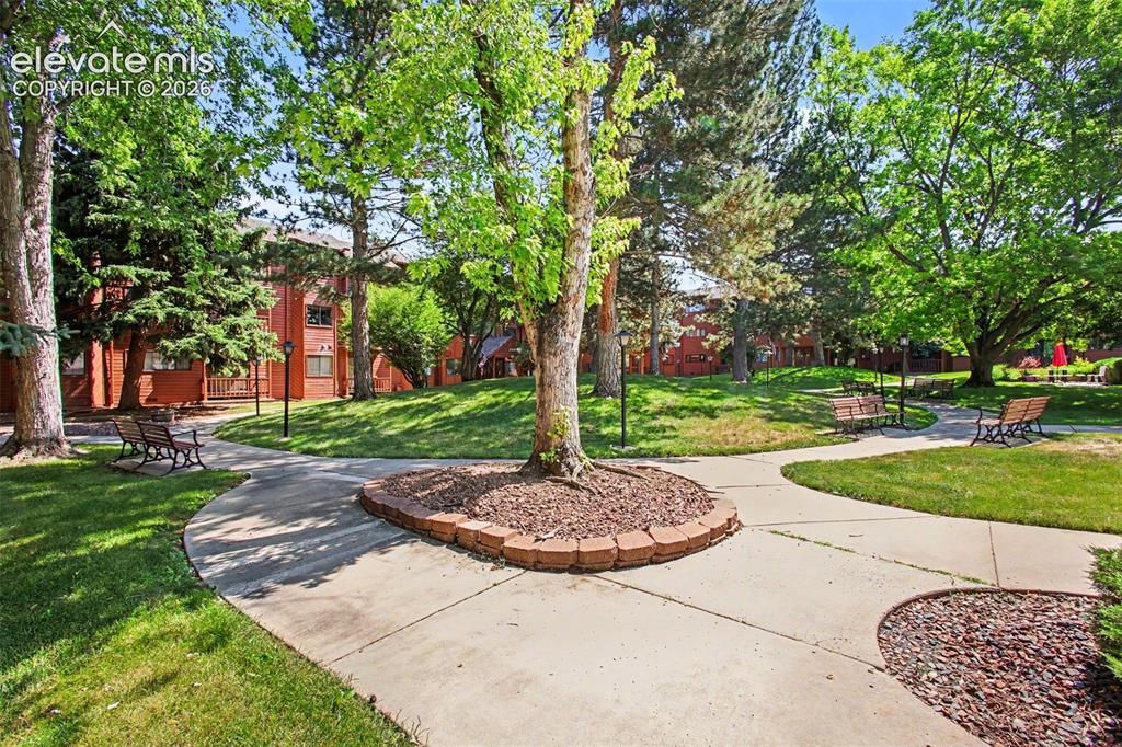 2450 Palmer Park Boulevard Colorado Springs CO 80909