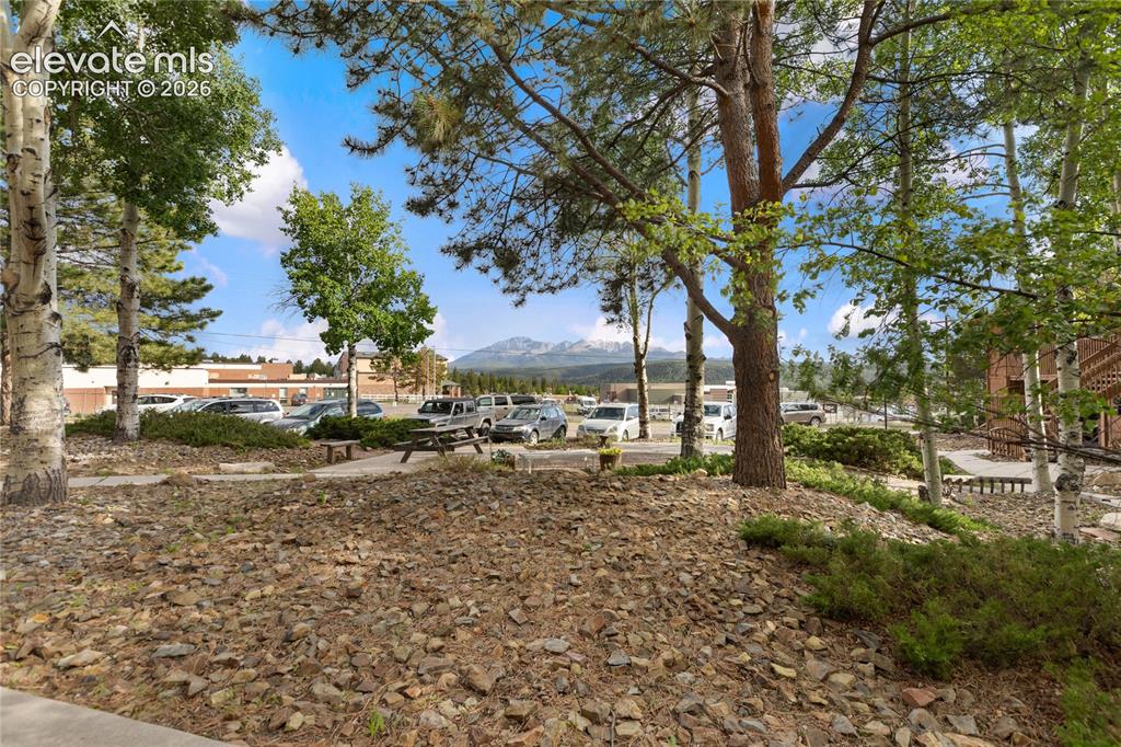 401 Forest Edge Road Woodland Park CO 80863