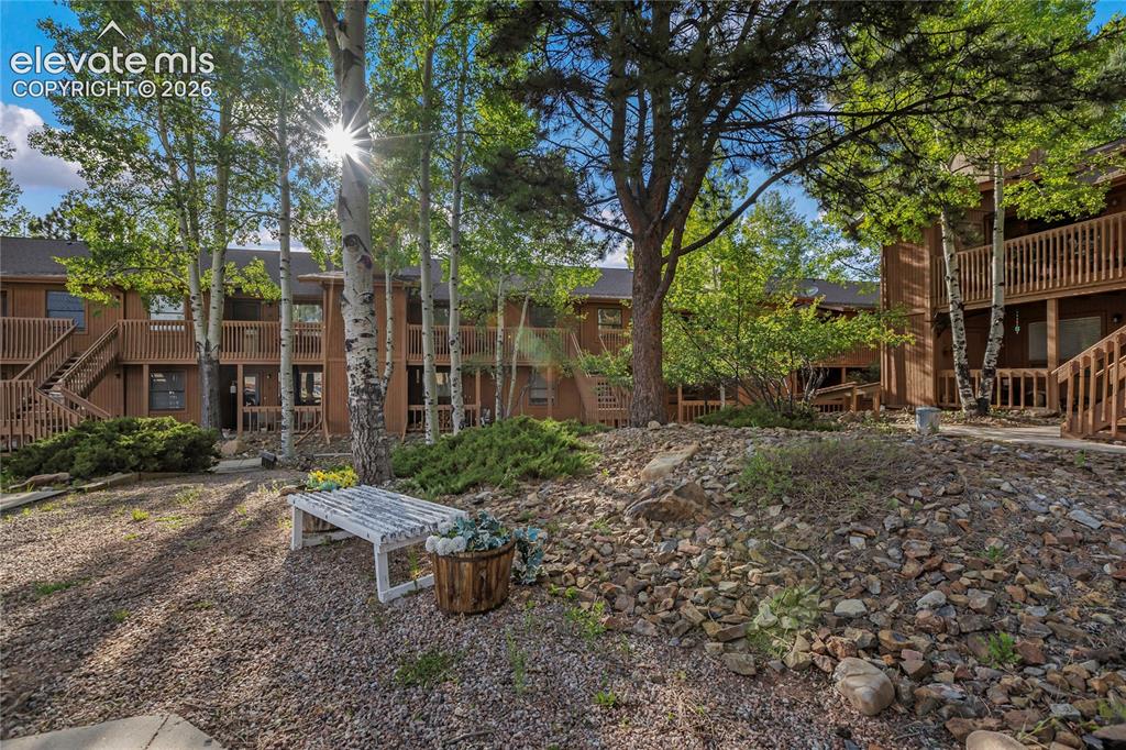 401 Forest Edge Road Woodland Park CO 80863