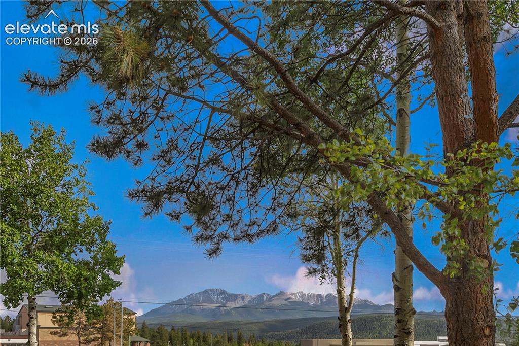 401 Forest Edge Road Woodland Park CO 80863