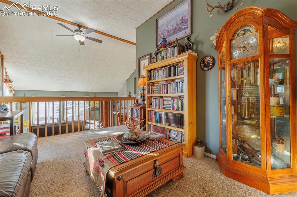 800 Columbine Village Drive Woodland Park CO 80863