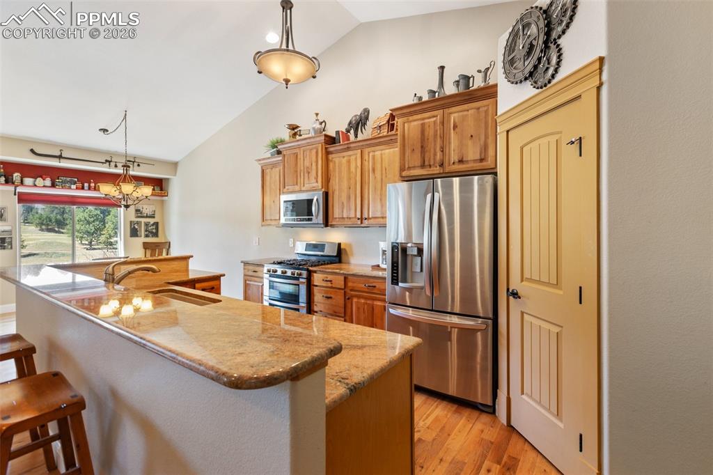 1310 Longs Point Woodland Park CO 80863