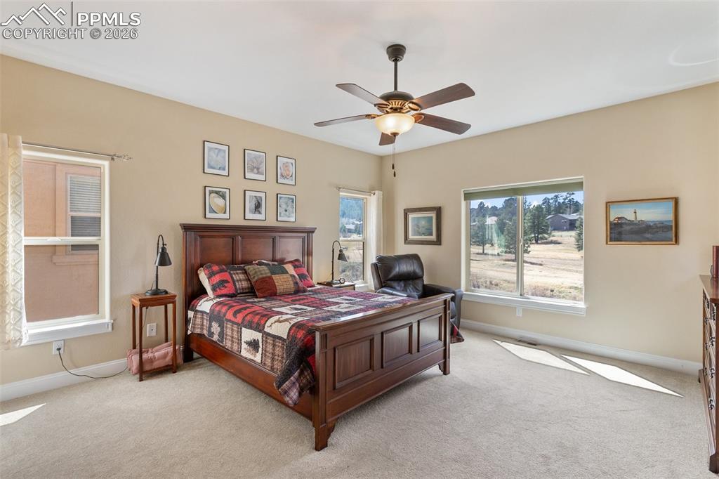 1310 Longs Point Woodland Park CO 80863