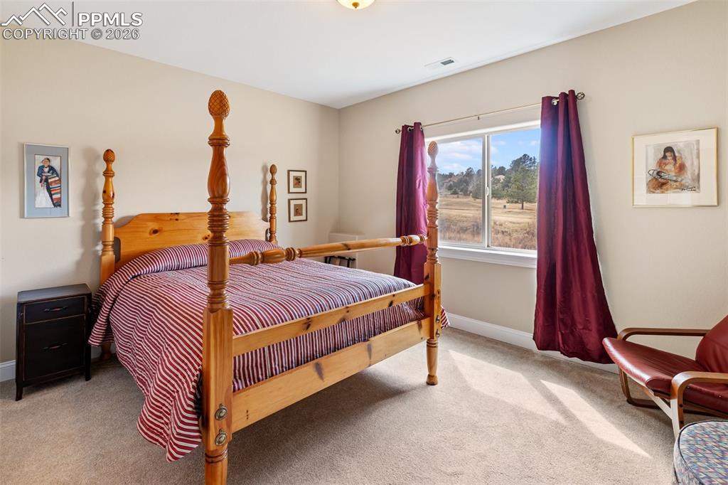 1310 Longs Point Woodland Park CO 80863