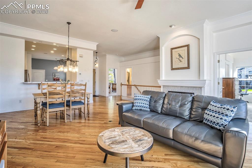 4884 Sanctuary Grove Colorado Springs CO 80906