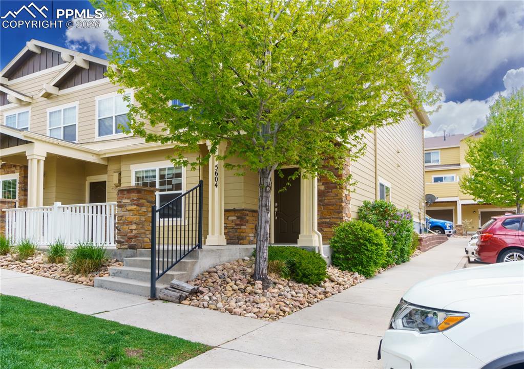 5604 Saint Patrick View Colorado Springs CO 80923