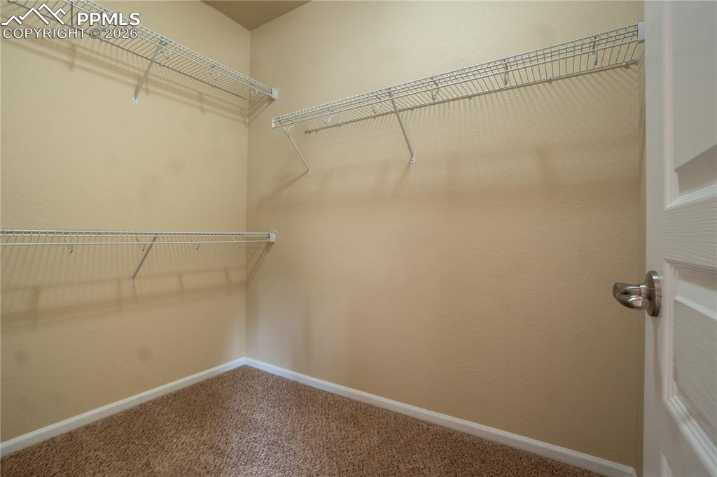 5604 Saint Patrick View Colorado Springs CO 80923