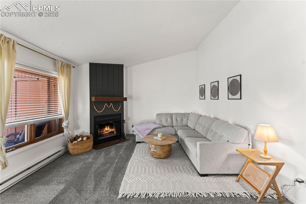 401 Forest Edge Road Woodland Park CO 80863