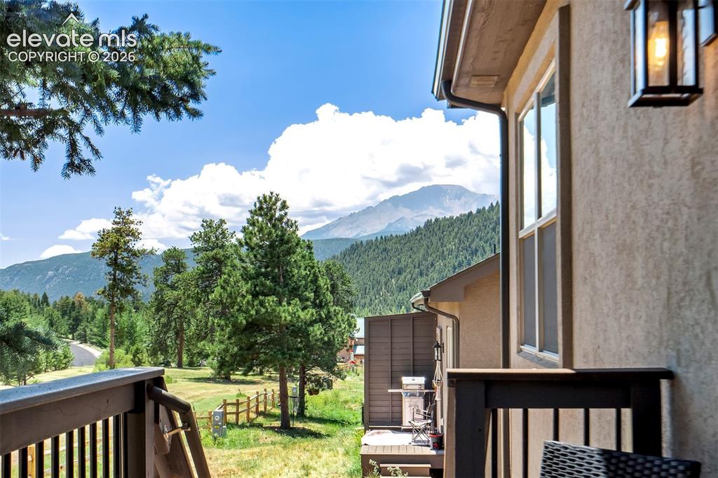 528 Brecken Court Woodland Park CO 80863