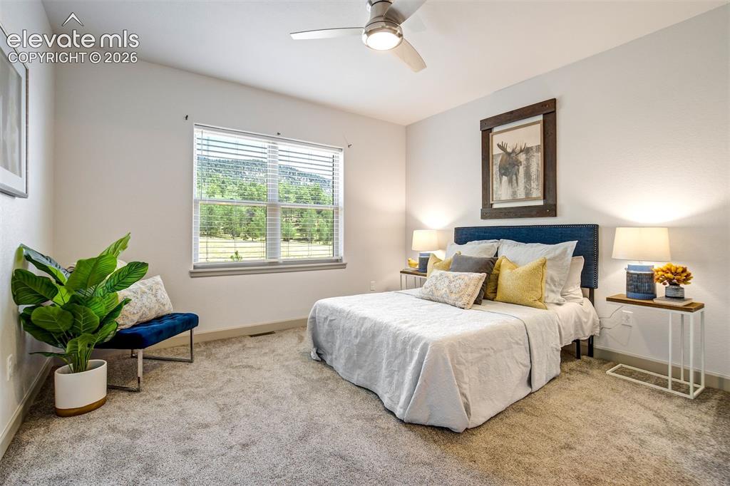 528 Brecken Court Woodland Park CO 80863