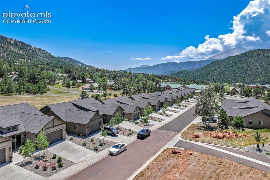 528 Brecken Court Woodland Park CO 80863
