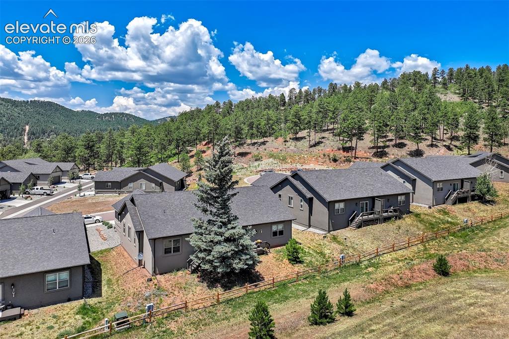 528 Brecken Court Woodland Park CO 80863
