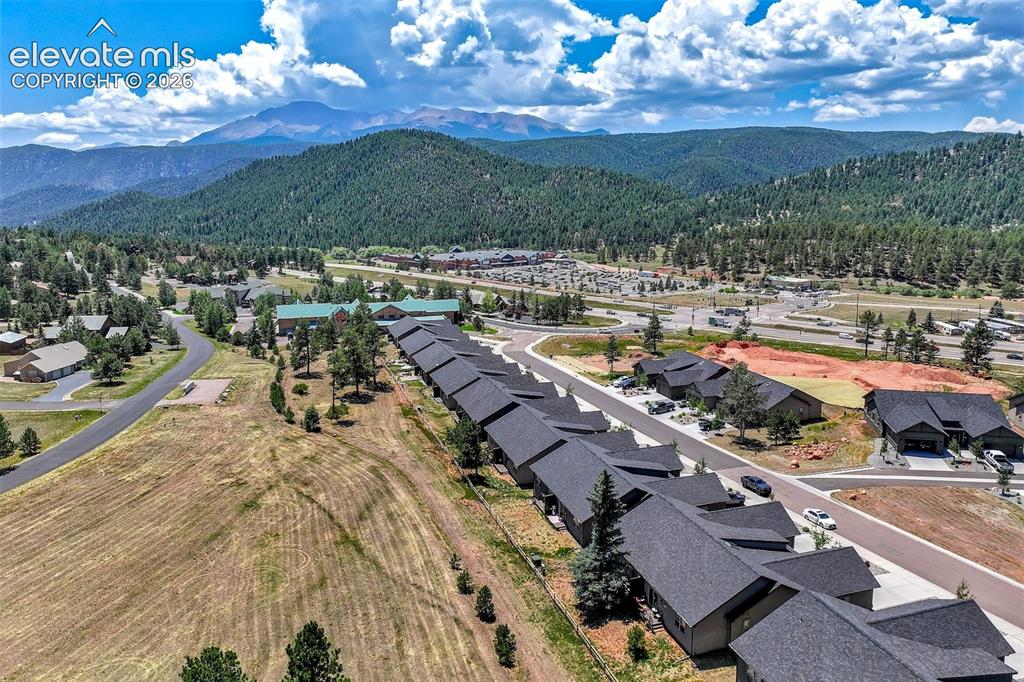 528 Brecken Court Woodland Park CO 80863