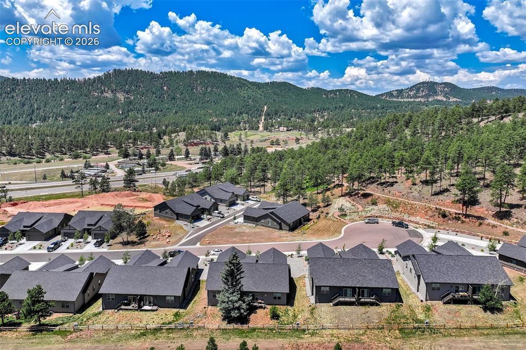 528 Brecken Court Woodland Park CO 80863