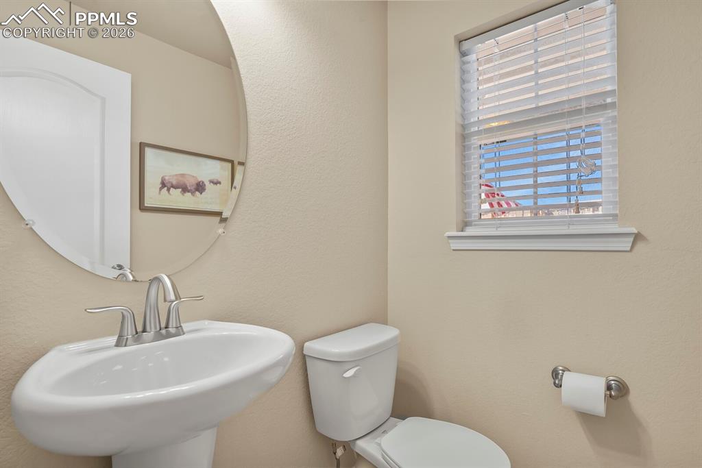 8842 White Prairie View Colorado Springs CO 80924