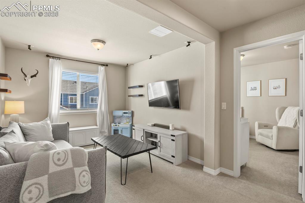 8842 White Prairie View Colorado Springs CO 80924