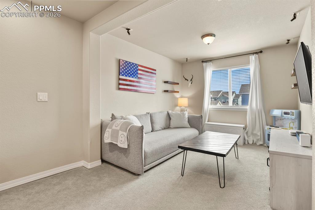 8842 White Prairie View Colorado Springs CO 80924