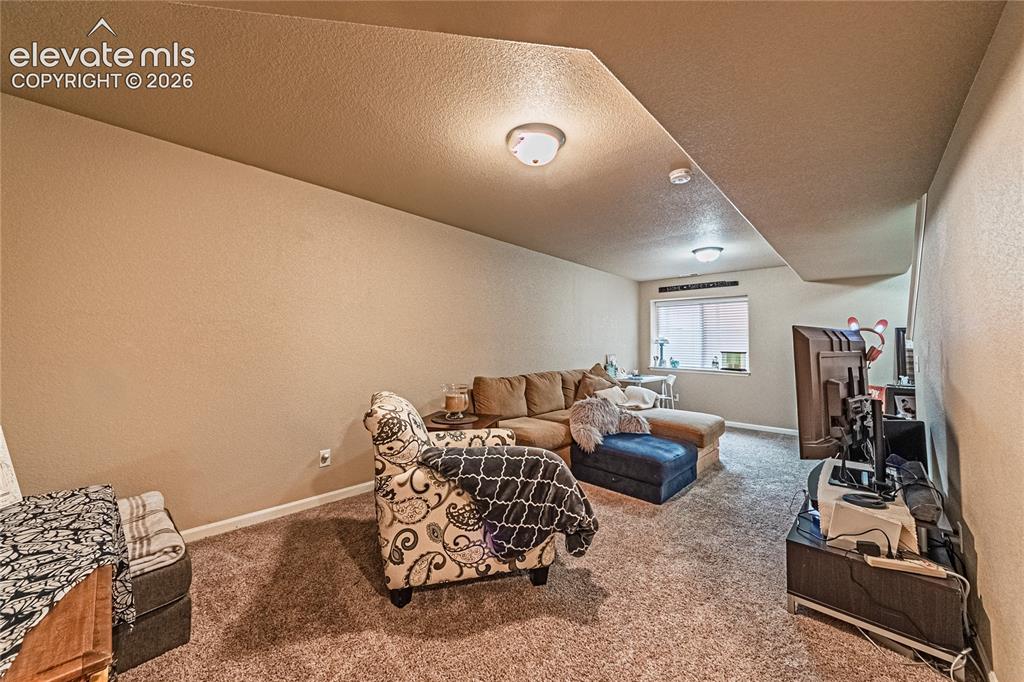 6668 Dark Oak View Colorado Springs CO 80923