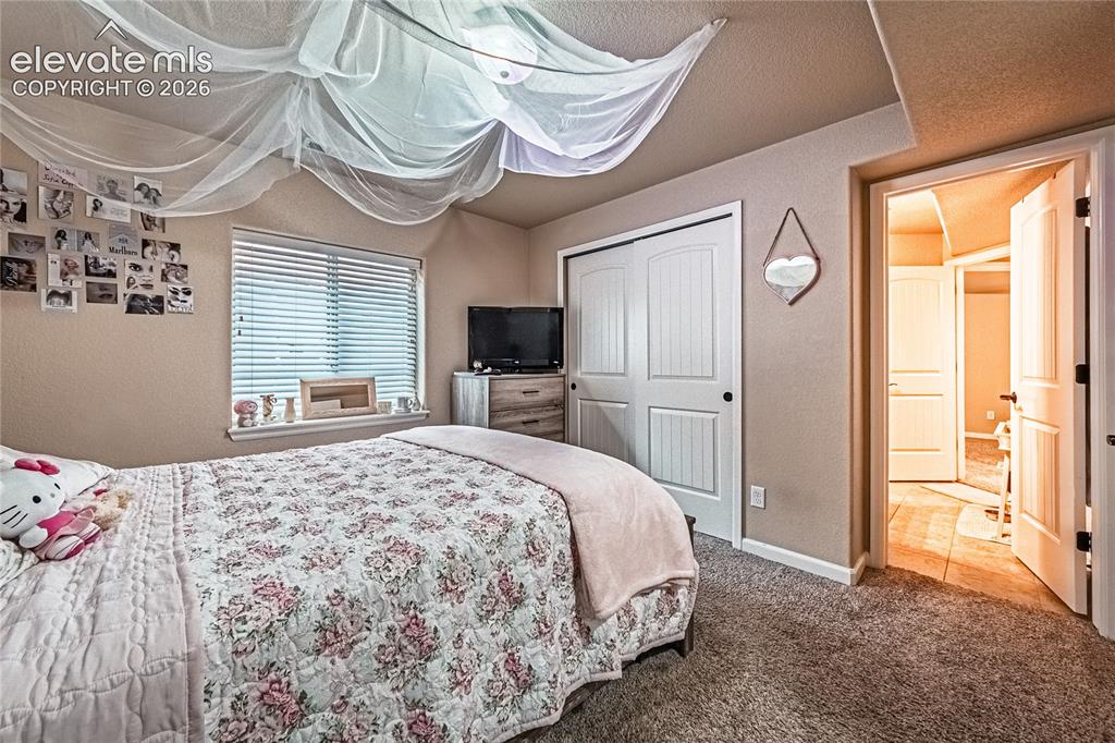 6668 Dark Oak View Colorado Springs CO 80923