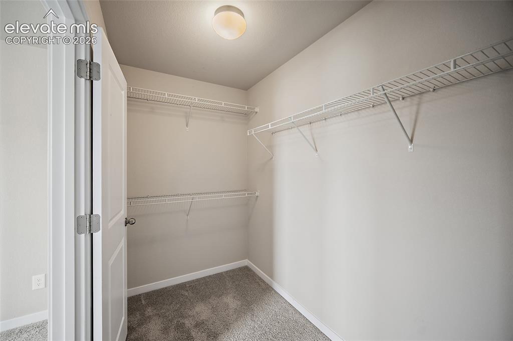 1946 Lambourne Street Colorado Springs CO 80910