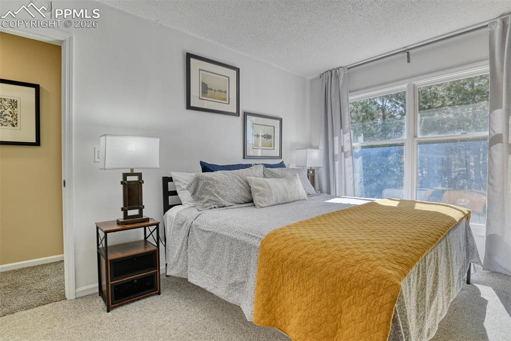 379 Raspberry Lane Monument CO 80132