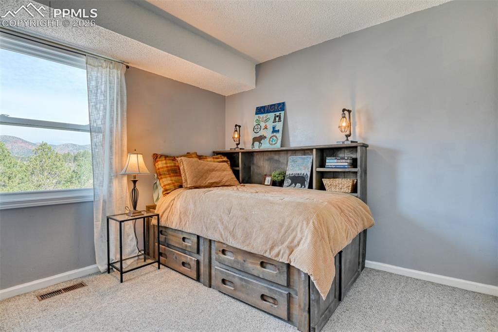 379 Raspberry Lane Monument CO 80132