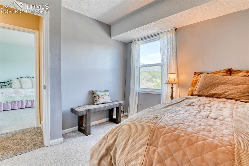 379 Raspberry Lane Monument CO 80132