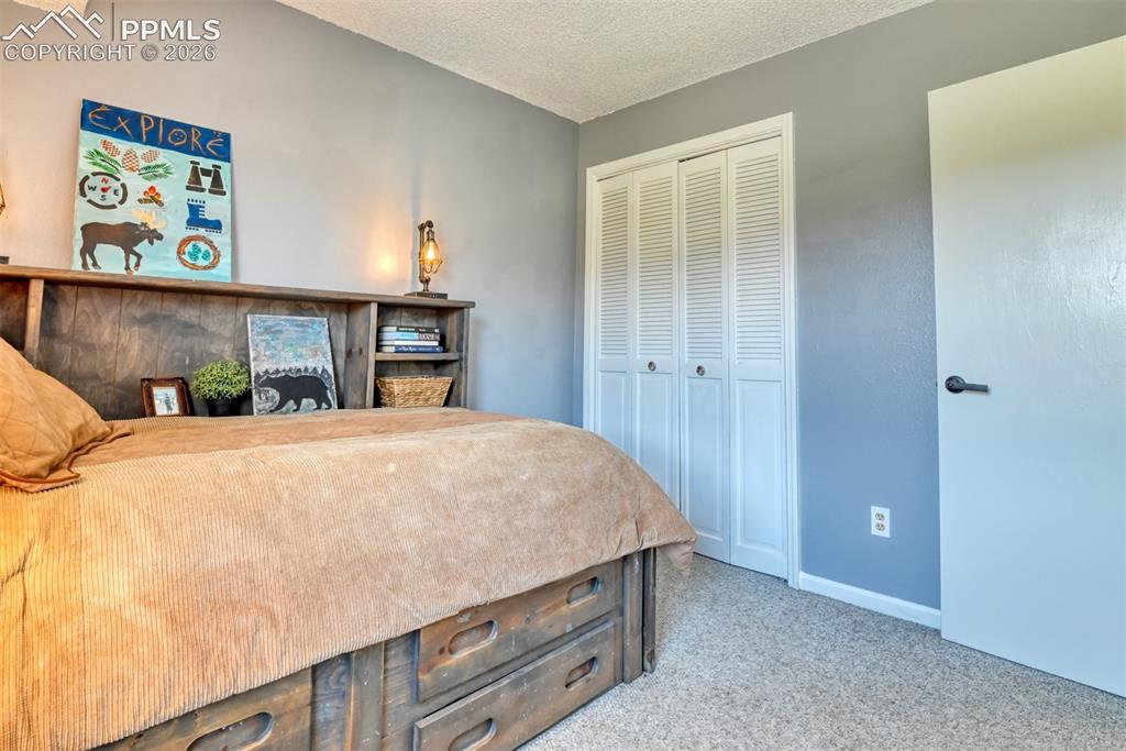 379 Raspberry Lane Monument CO 80132