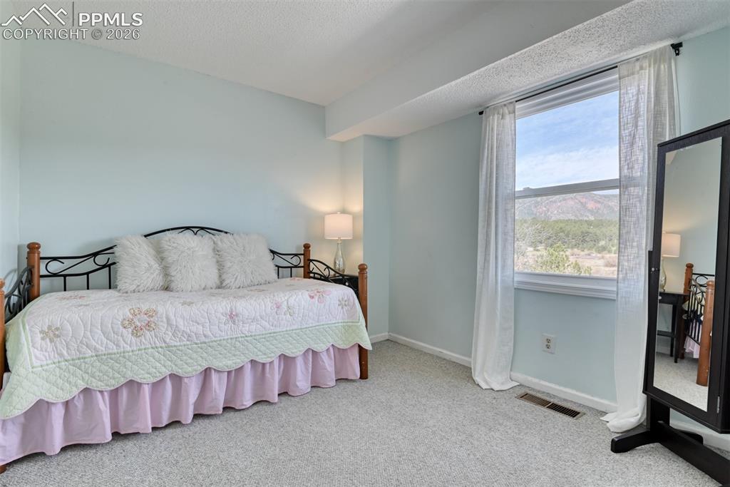 379 Raspberry Lane Monument CO 80132