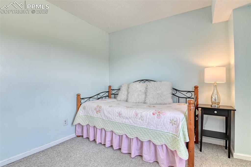 379 Raspberry Lane Monument CO 80132