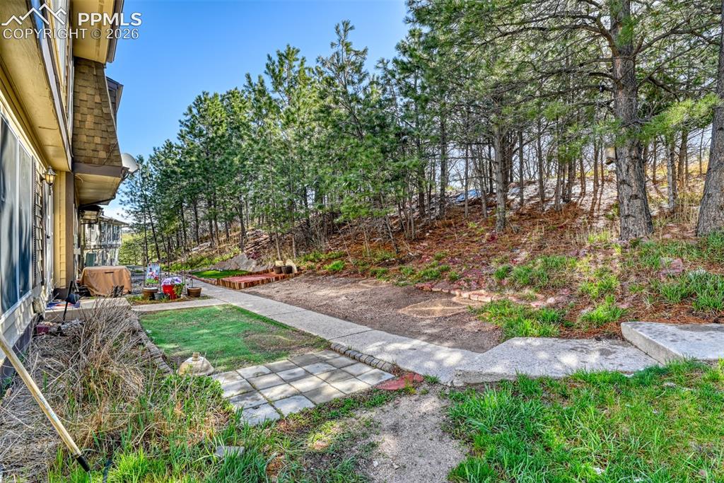379 Raspberry Lane Monument CO 80132