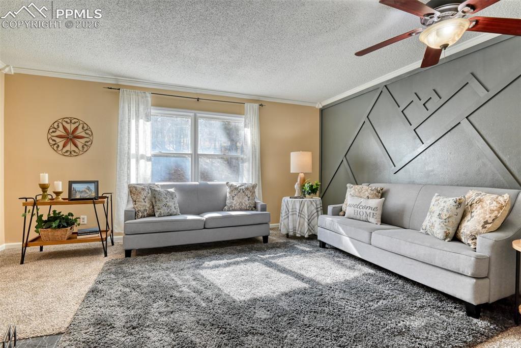 379 Raspberry Lane Monument CO 80132