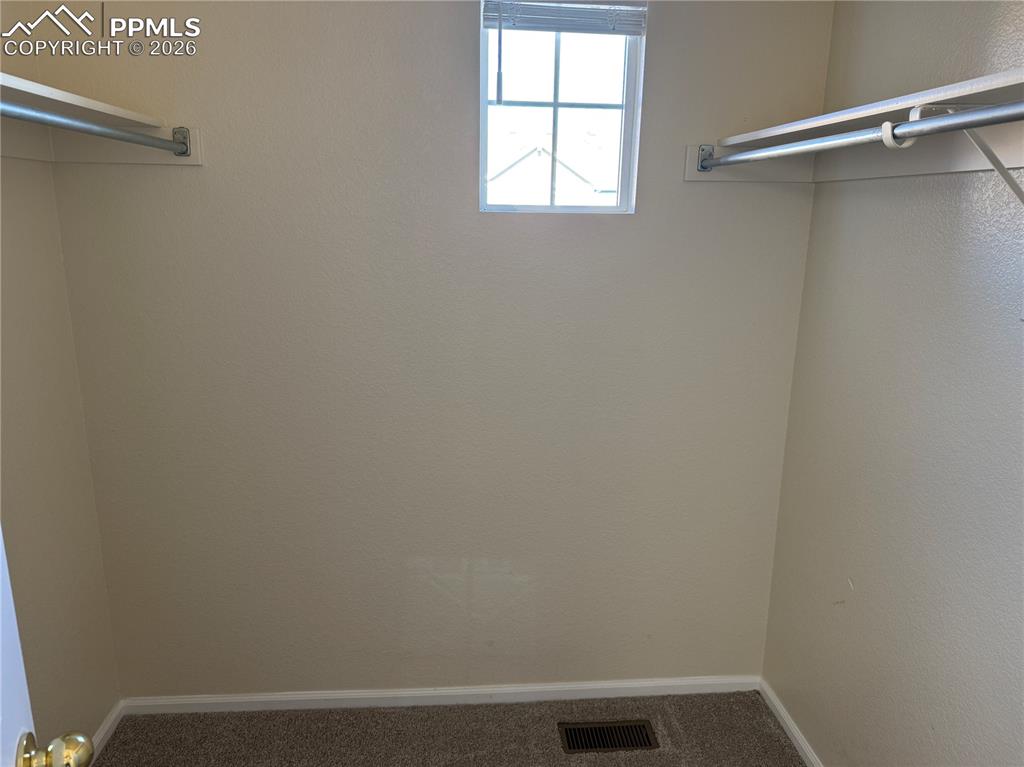 8728 Eckberg Heights Colorado Springs CO 80924
